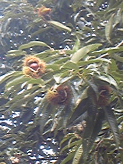 f0185403_13455226.jpg