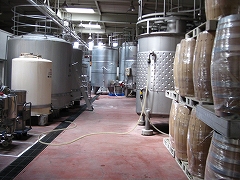 a0036808_1657813.jpg