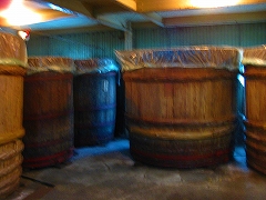 a0036808_1794675.jpg