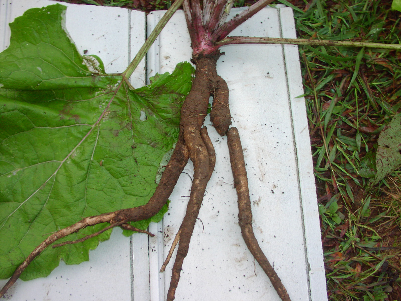 f0164410_17134082.jpg