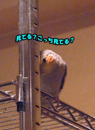c0133013_14171585.jpg