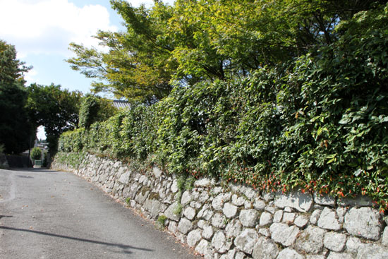 修学院 禅華庵_e0048413_22105615.jpg