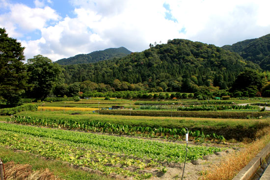 修学院 禅華庵_e0048413_22111431.jpg