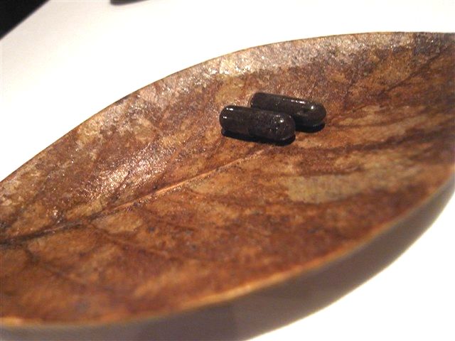 養子縁組。_c0116714_754491.jpg