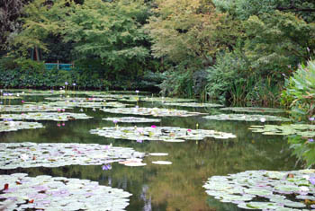 e0135518_1448689.jpg