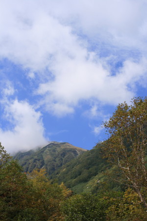 さわやか信州　3.栂池自然園_f0097620_0162112.jpg