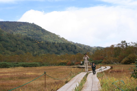 さわやか信州　3.栂池自然園_f0097620_055422.jpg