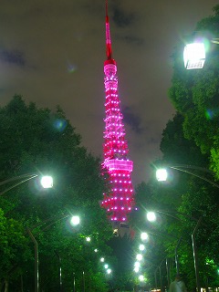 b0147522_15482495.jpg