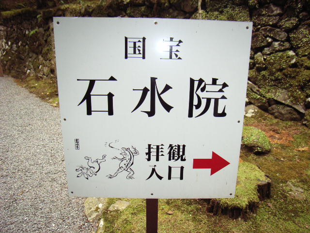 e0177824_2251463.jpg