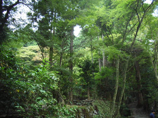 e0177824_22525522.jpg
