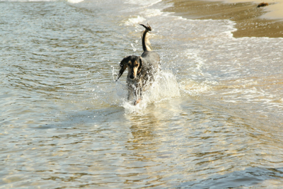 海へ_a0097735_3344010.jpg