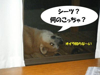 f0008935_2304426.gif