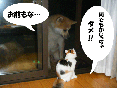 f0008935_2325876.gif