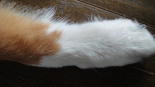 生まれた時からずっと次男♪_e0195743_23244626.jpg
