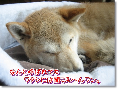 面白サイ子_c0049950_135539.jpg