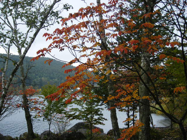 蓼科の研修会_b0077451_0195257.jpg