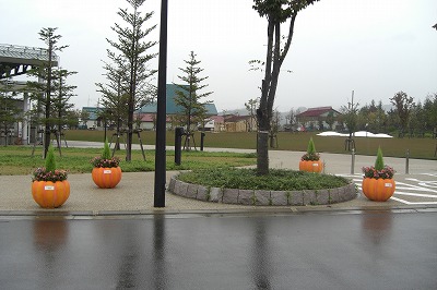 午後の公園_a0084753_15443472.jpg