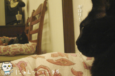 鏡よ鏡、鏡さん…_e0031853_19551188.jpg