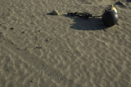 b0087456_1048243.jpg