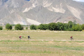 c0047856_7453236.jpg