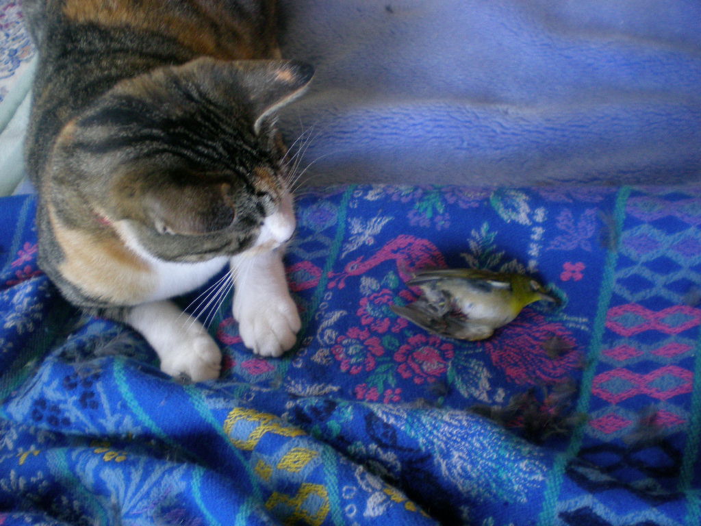 2009年10月2日(金)雑食系女子って?_f0060461_20375337.jpg
