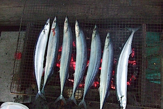 b0050768_2035457.jpg