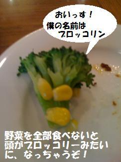 a0113070_23591289.jpg