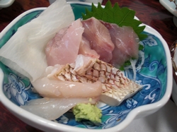 佐渡を食べる_d0138678_1151668.jpg