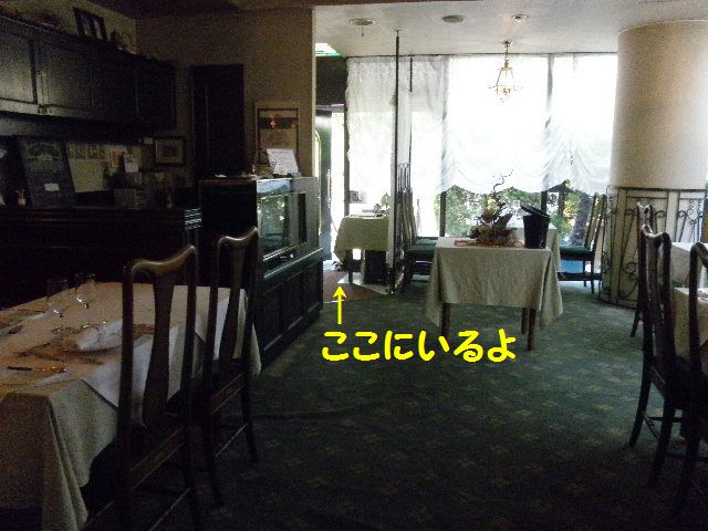 a0118079_1731139.jpg