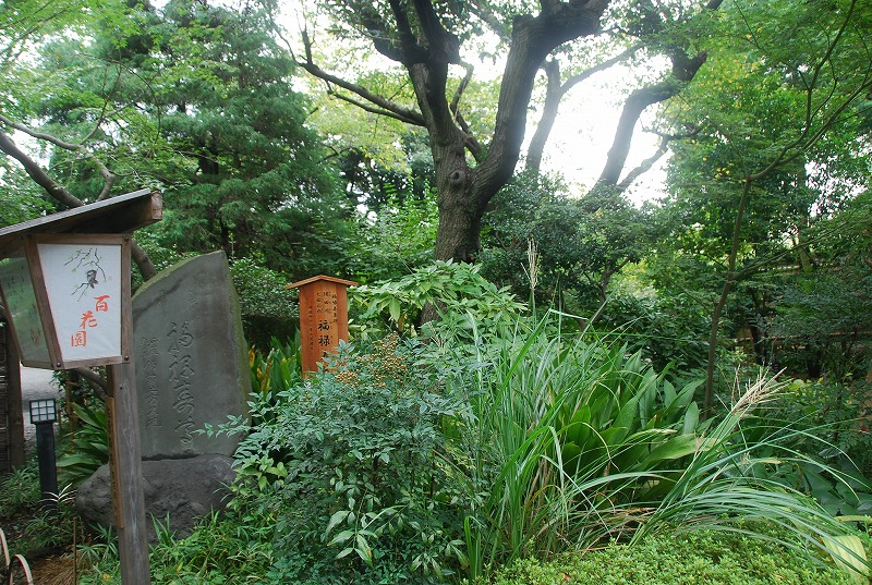 c0187781_814024.jpg