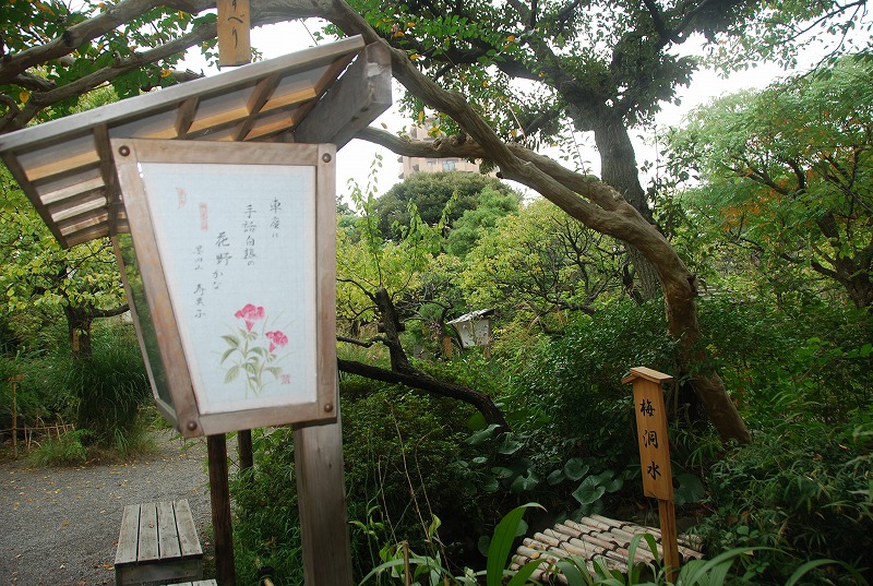 c0187781_824073.jpg