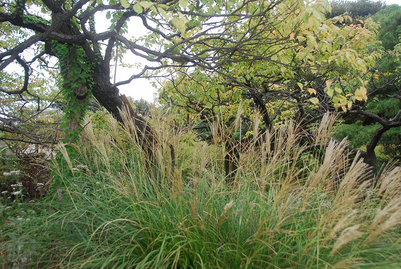 c0187781_835897.jpg