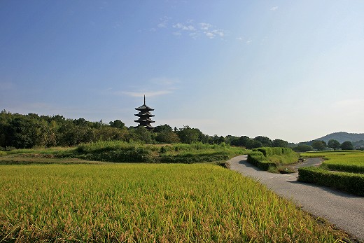 初秋の備中国分寺_e0190885_20241963.jpg