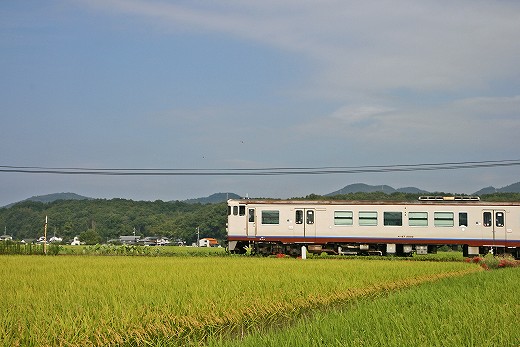 初秋の備中国分寺_e0190885_20242576.jpg