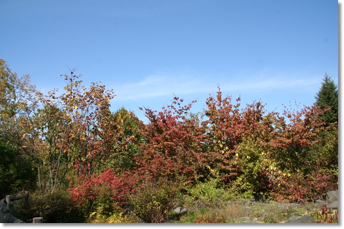 f0146493_03761.jpg