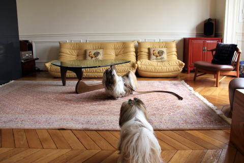 c0090198_5284082.jpg