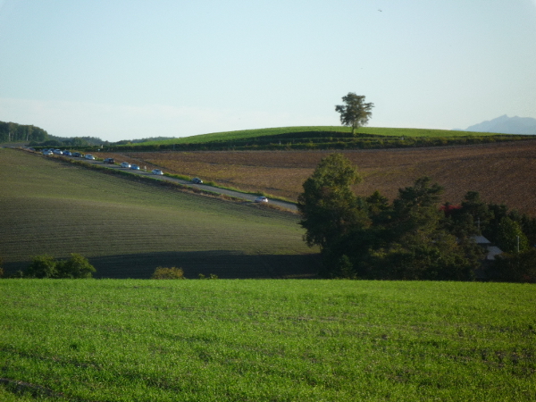 f0187700_16402511.jpg