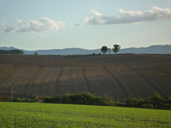 f0187700_16403699.jpg
