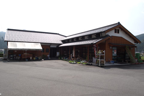 宍粟市土万のコスモス畑_d0090101_19545357.jpg