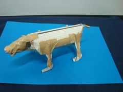 c0052304_2583178.jpg