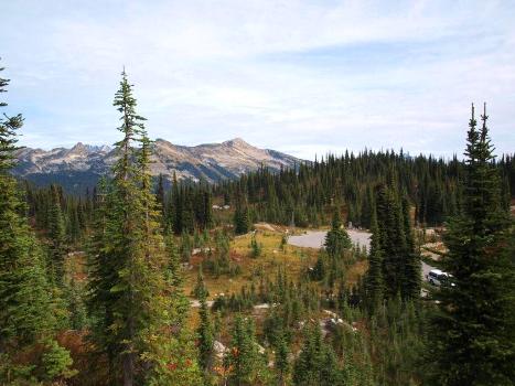 Half Day Hiking ~ Mt. Revelstoke_c0195804_6355455.jpg