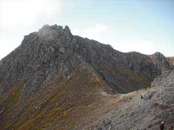e0008704_1125566.jpg
