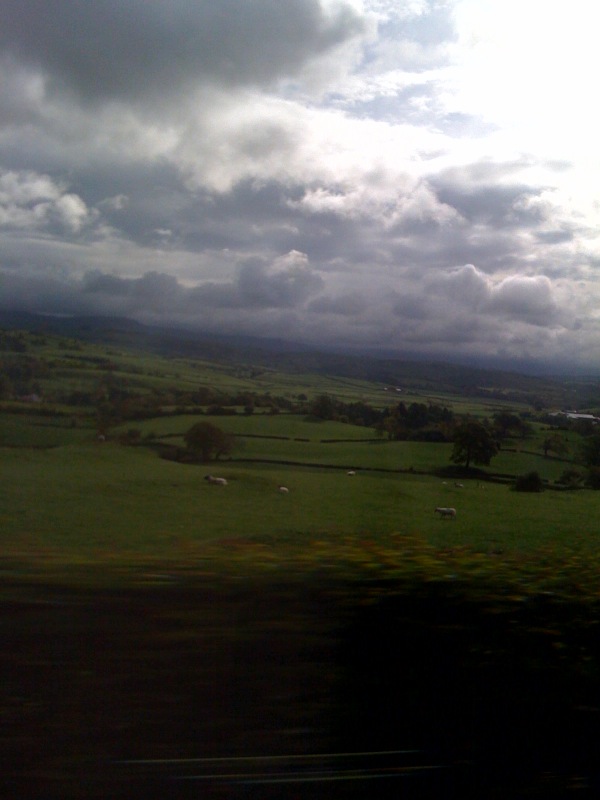 e0101106_92748.jpg