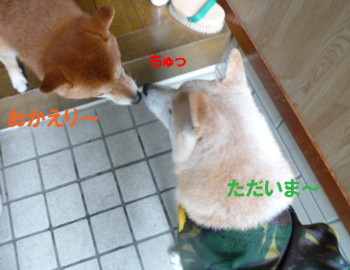 e0131506_0411666.jpg