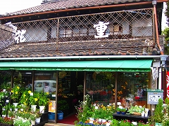a0036808_1150740.jpg