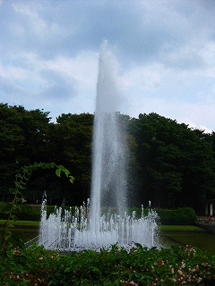 a0036808_12144266.jpg