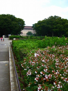 a0036808_12145891.jpg