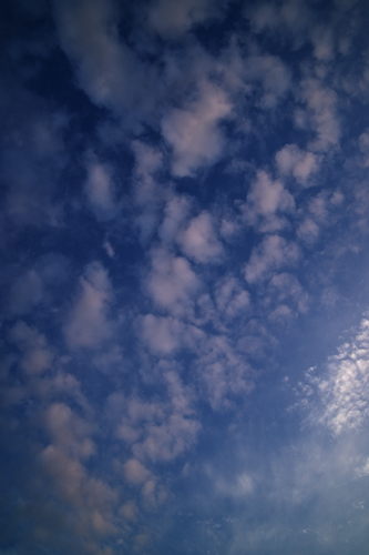 ９月の空_a0096313_1562864.jpg