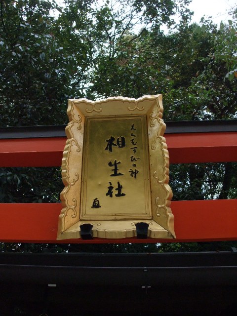 e0165814_13384869.jpg