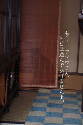 e0156015_164116.jpg